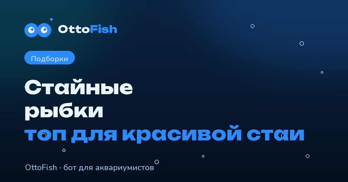 Стайные рыбки: топ для красивой стаи